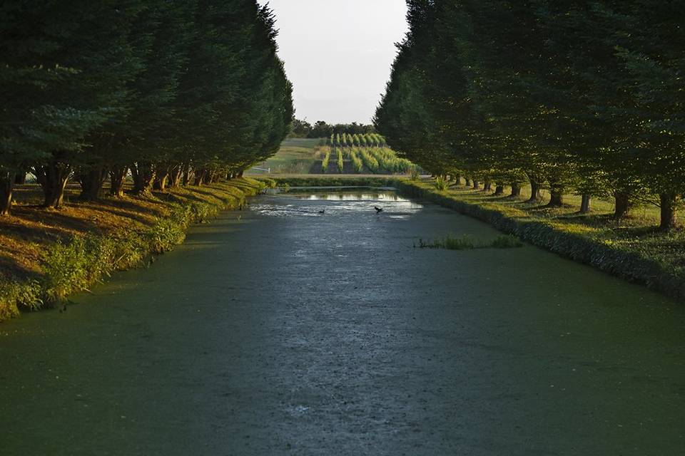 Château Olivier