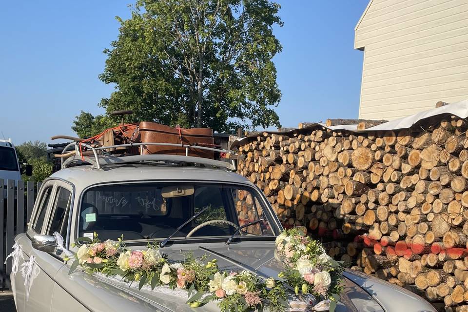 Décor de voiture