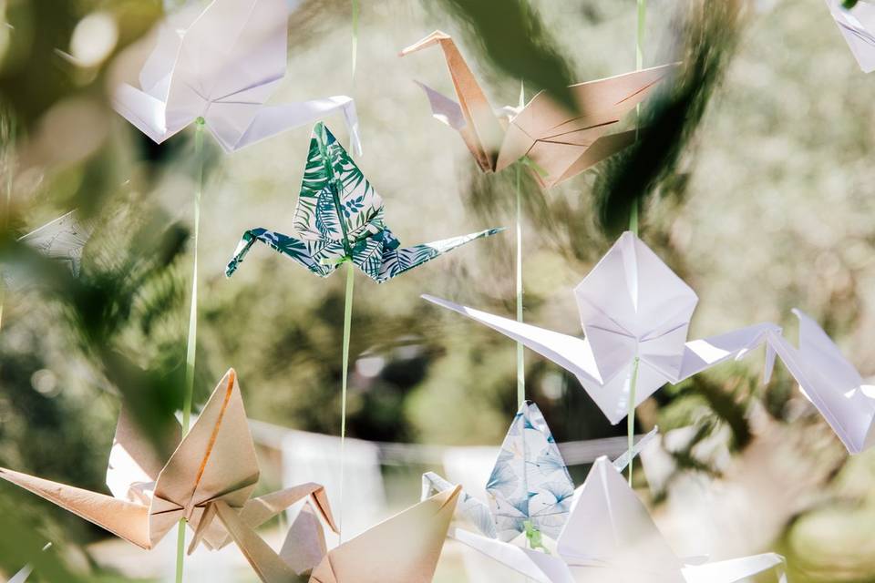 Reflets d’une journée unique