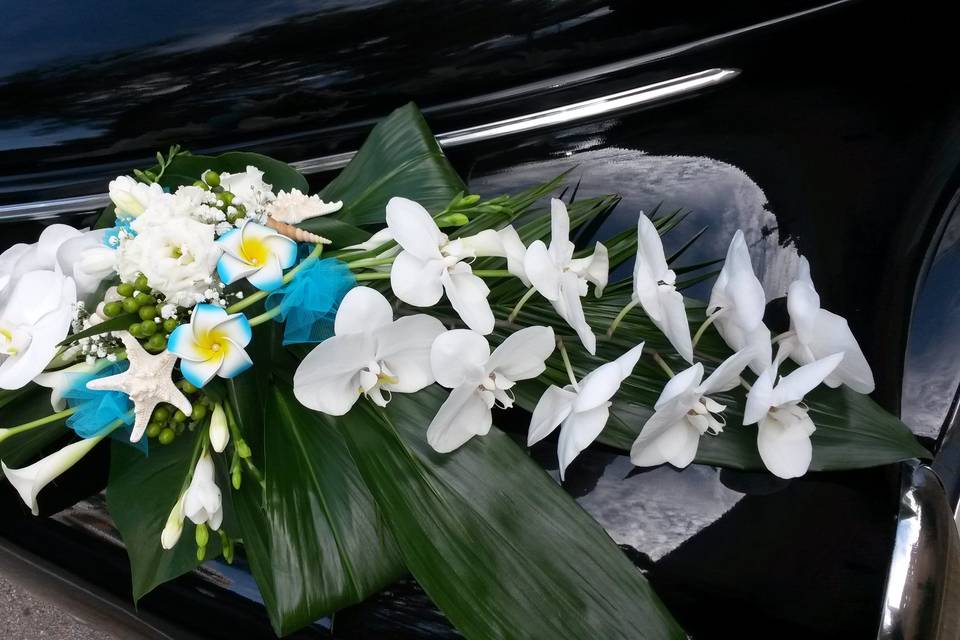 Voiture traction mariage