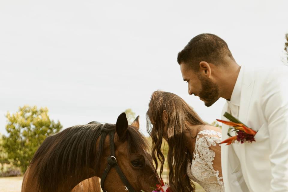 Moment avec le cheval