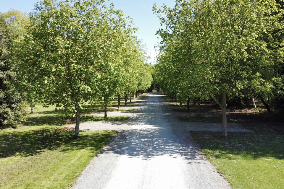 Allée d'honneur
