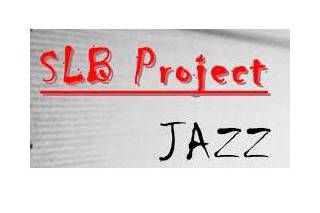 SLB Project