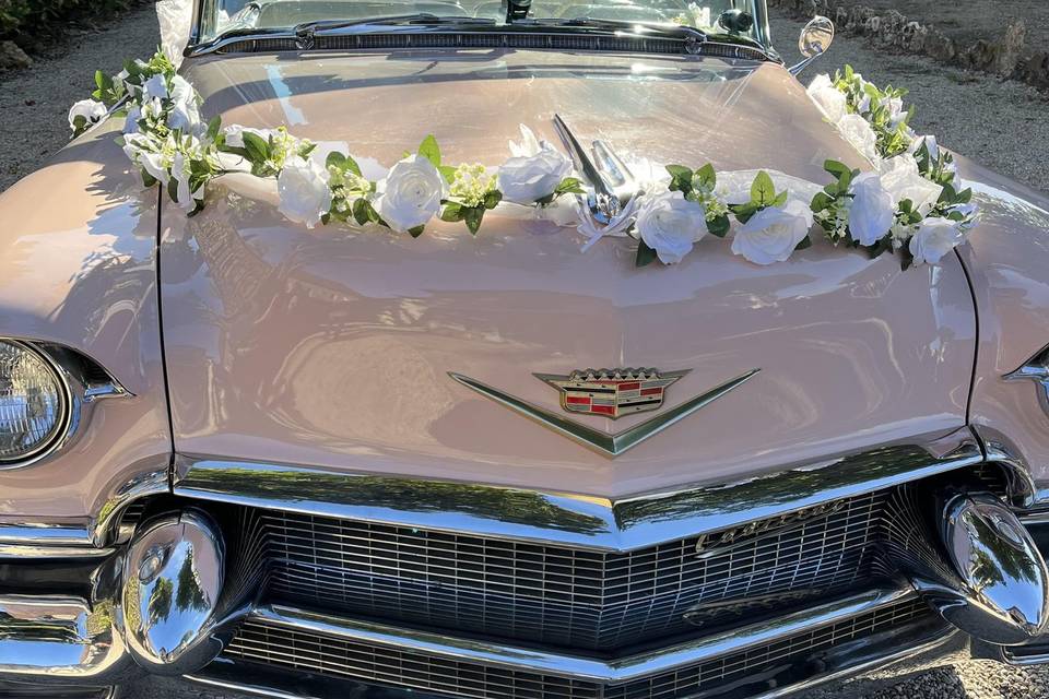 DM Wedding Planner