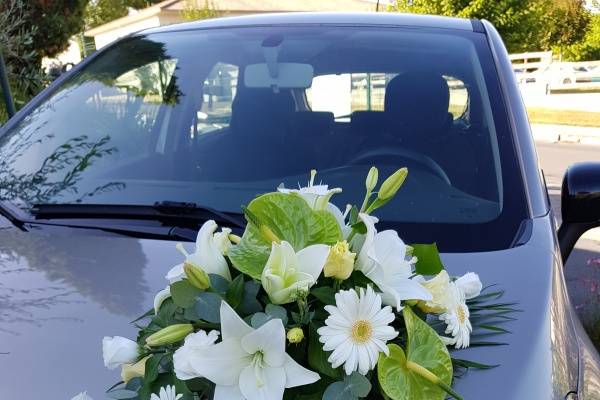 Ventouse voiture