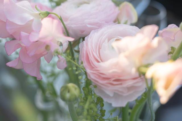 Fleurs