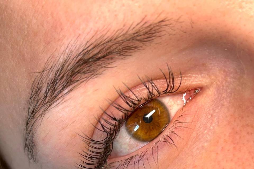 Beauté Des Cils