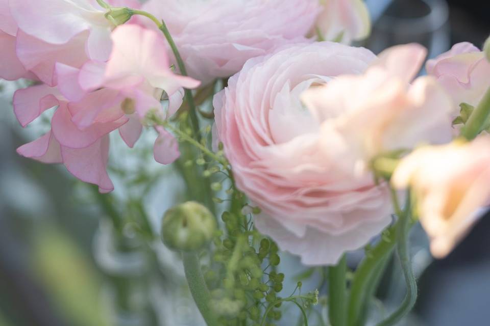 Fleurs