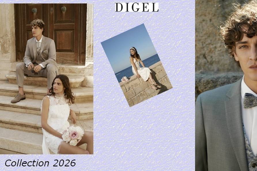 Collection DIGEL