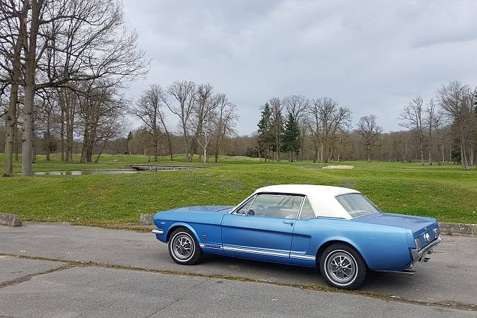 Ford mustang