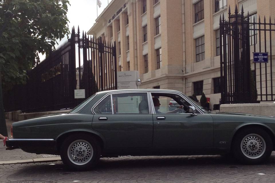 Jaguar sovereign