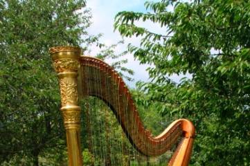 Harpe dorée