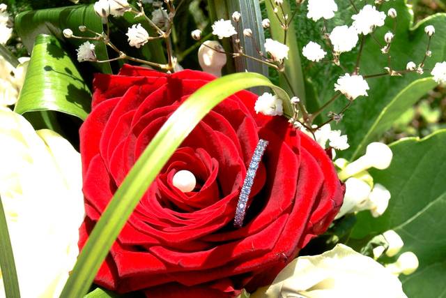 Bouquet et alliances