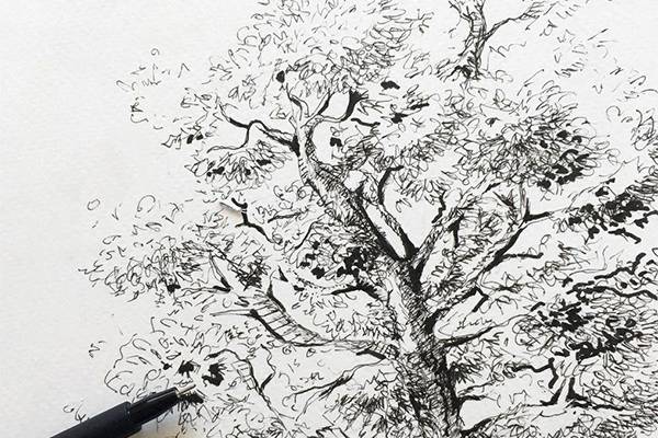 Arbre au Rotring