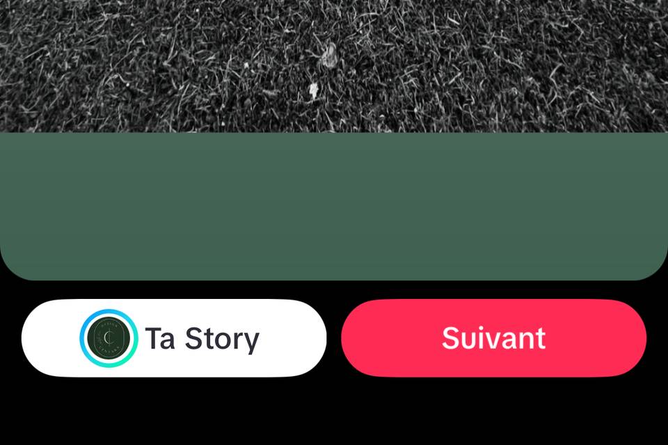 Structure vierge