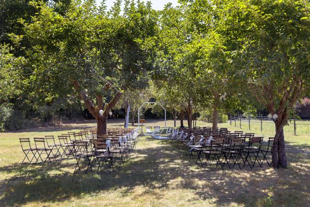 Cérémonie laîque dans verger