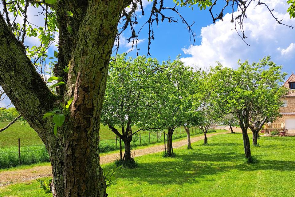 Verger pour cérémonie laïque