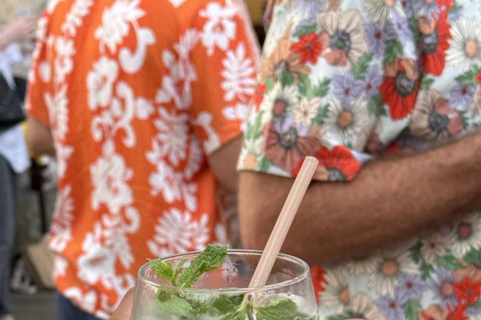 Mojito et cocktails