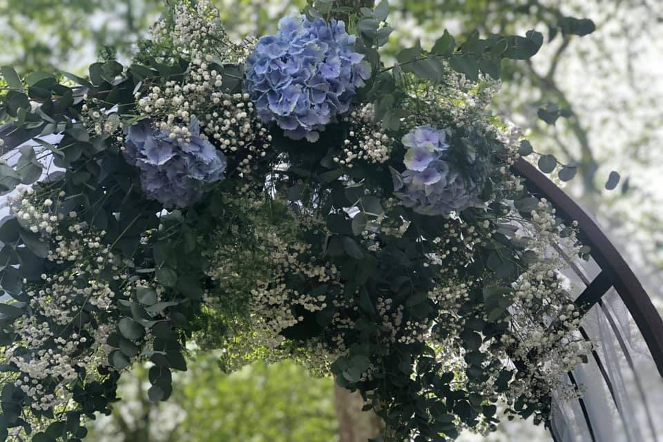 Arche en hortensia bleu