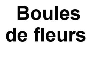 Boules de fleurs