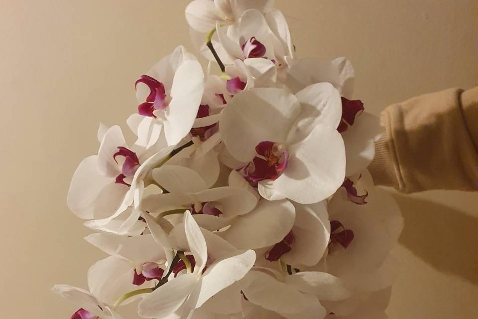 Bouquet cascade phalaenopsis