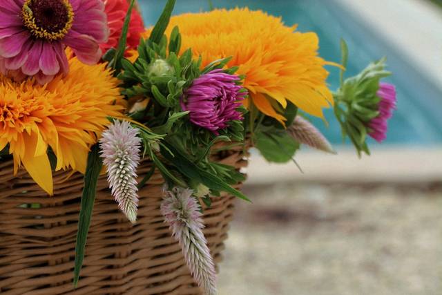 Décoration fleurs de saisons