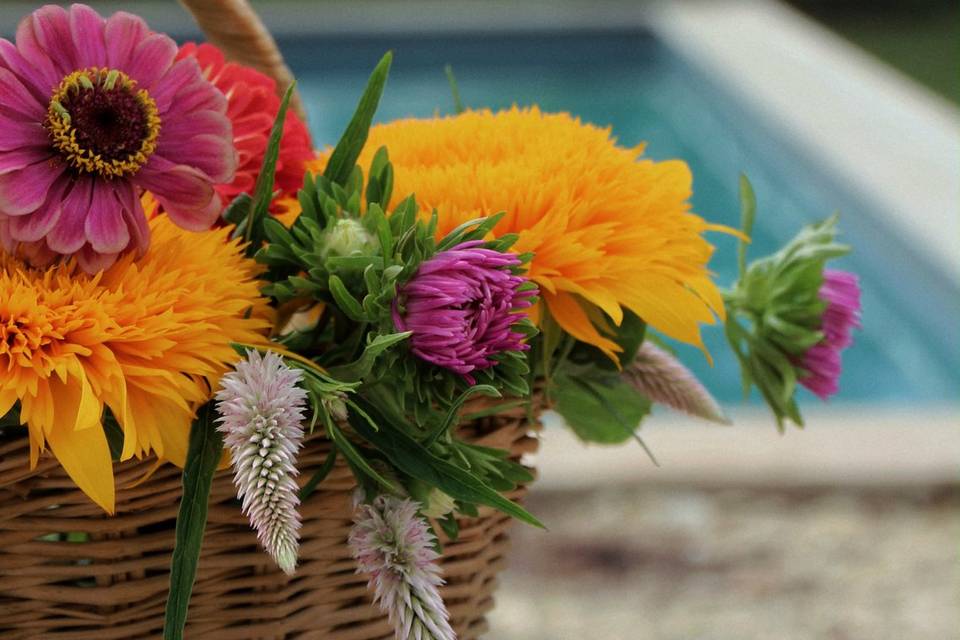 Décoration fleurs de saisons