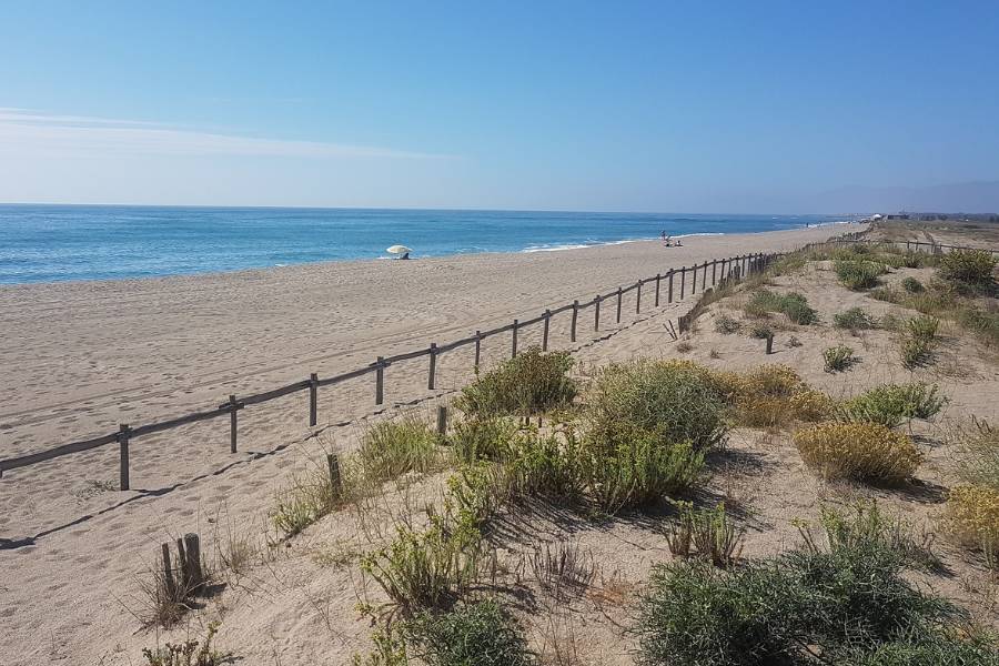 Plage de Torreilles