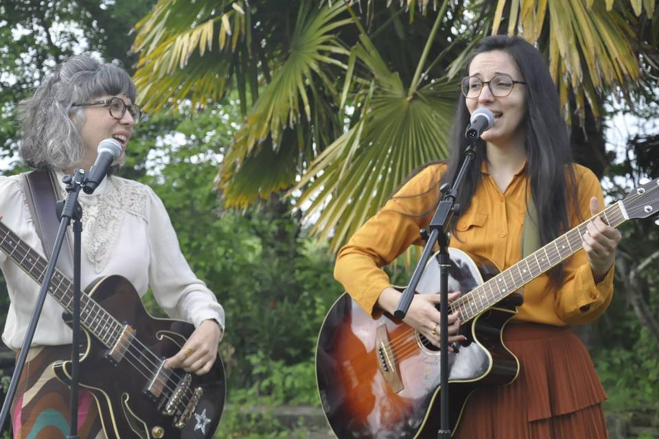 Duo Moonflowers
