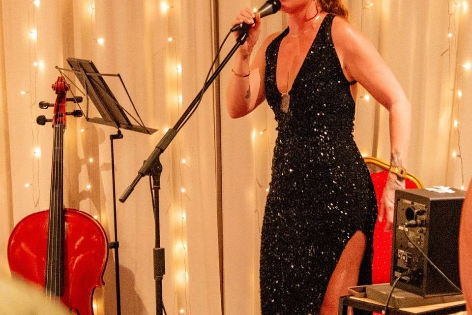 Voix instrumental pour soirée