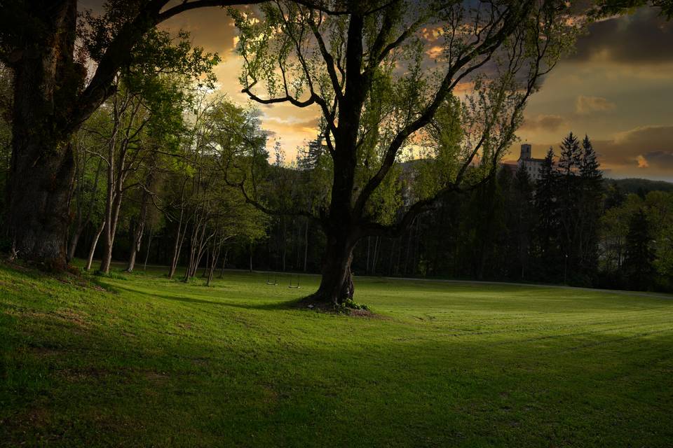 Parc pour la cérémonie