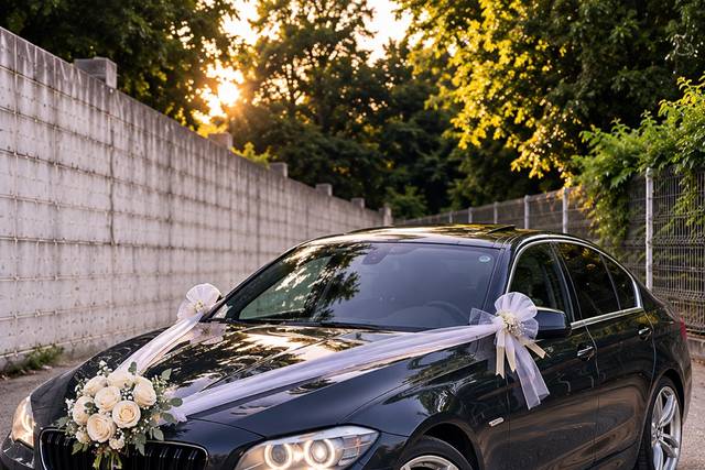 BMW Série 5 location chauffeur