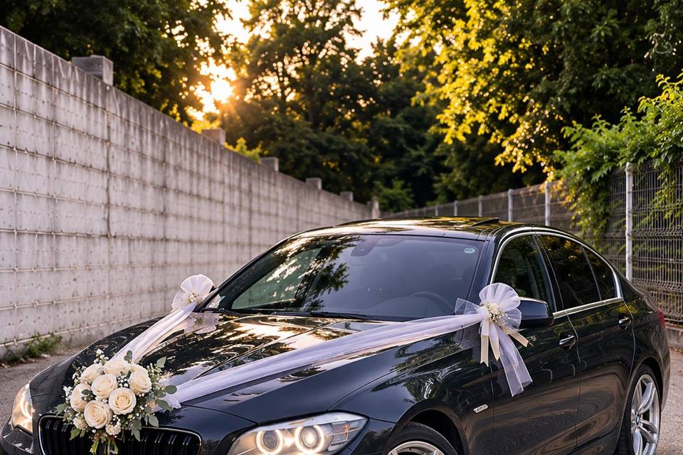 BMW Série 5 location chauffeur