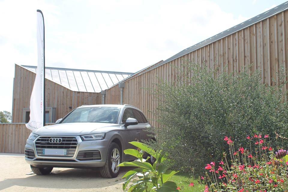 Audi Q5 gris