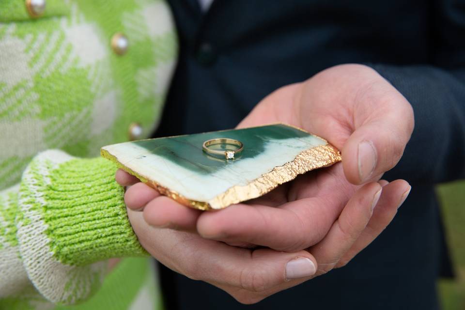 Engagement à Versailles