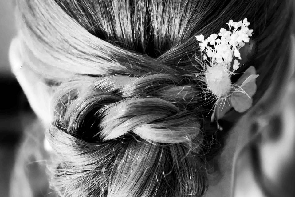 Chignon