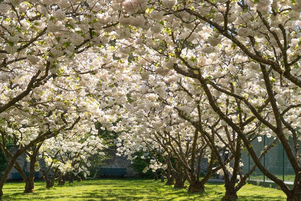 Jardins