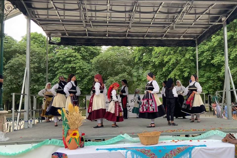 Festival