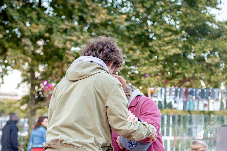 Labyrinthe en équilibre adulte