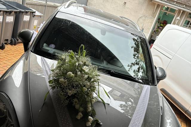 Ventouse voiture