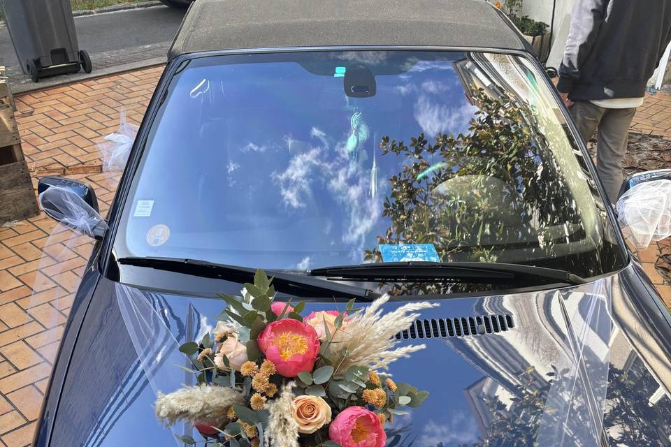 Ventouse voiture
