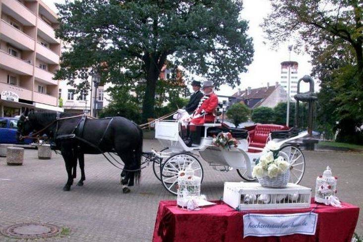 Pigeondemariage