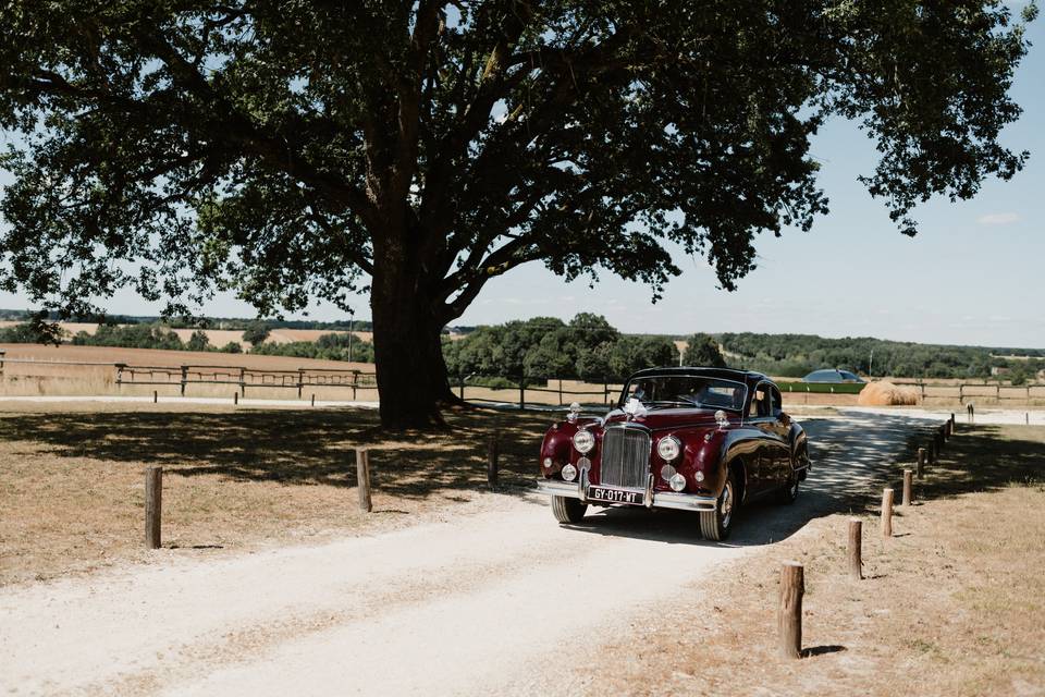 Arrivée des mariés