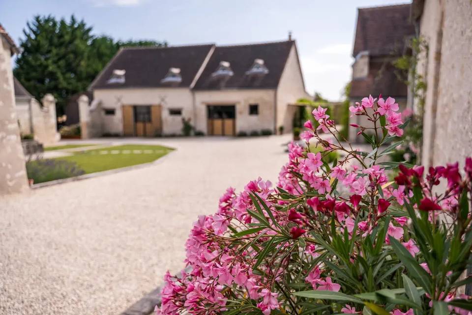 La cour