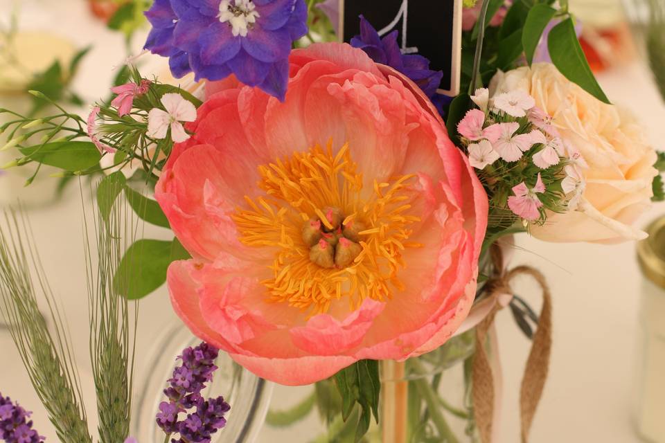 Capucine Atelier floral