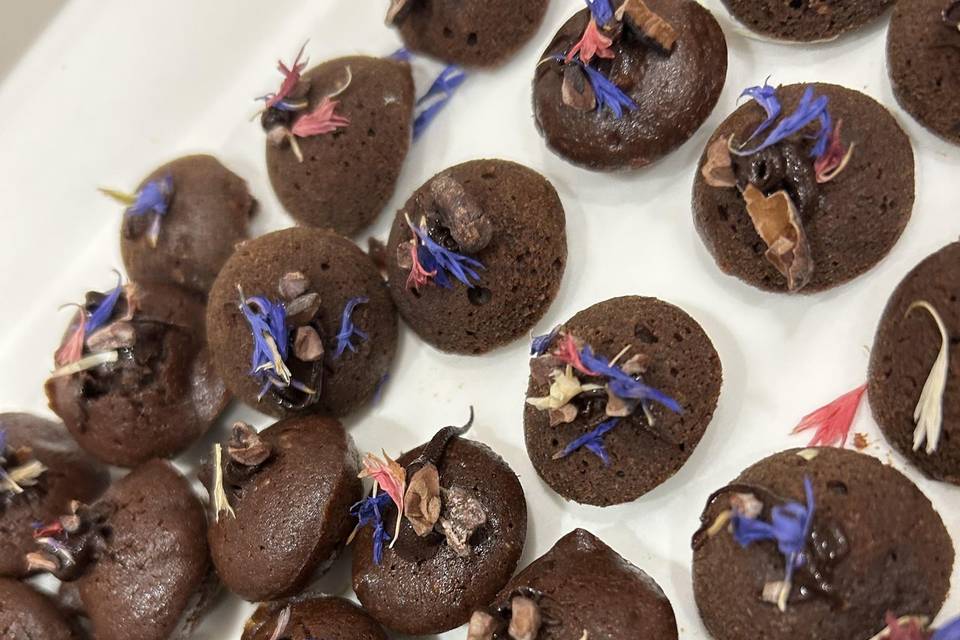 Cacao fève criolo