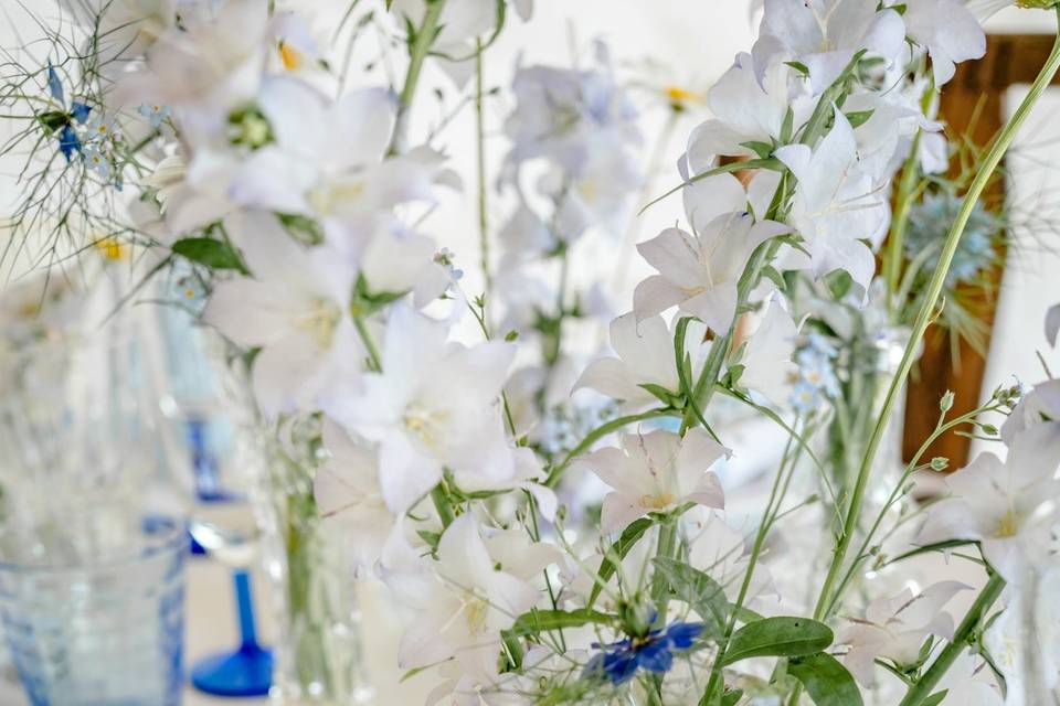 Piques fleurs Reims