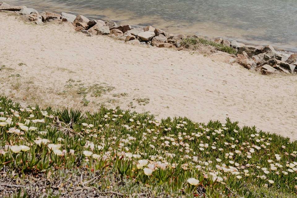 Un mariage à Noirmoutier