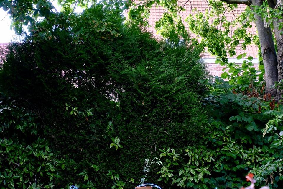 Jardin devant