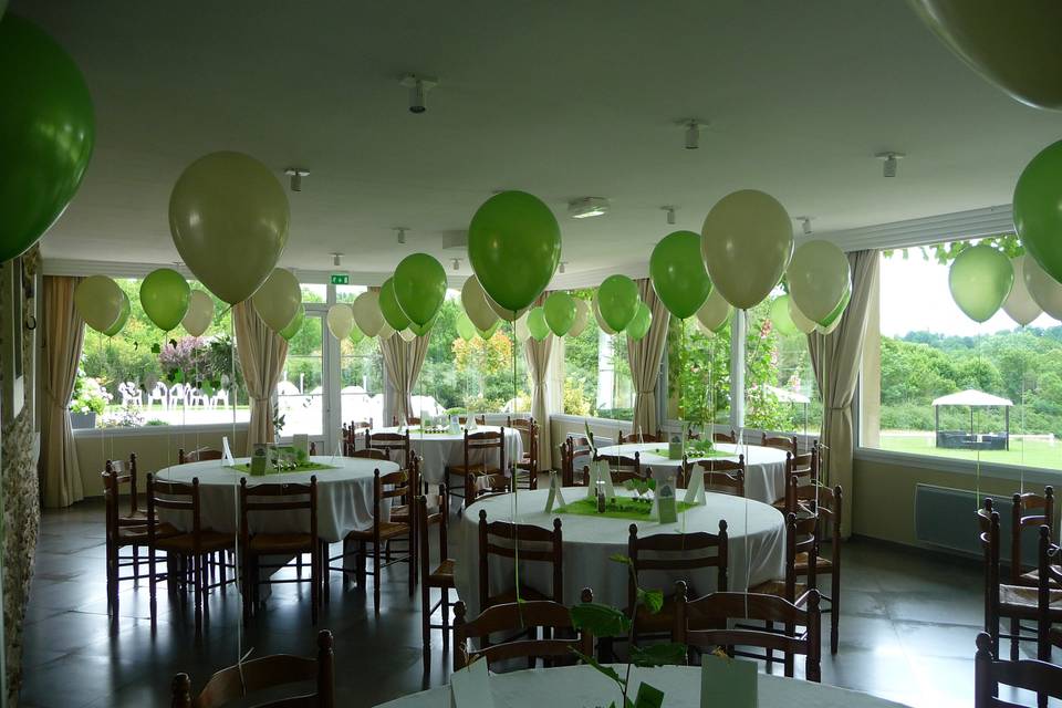 Ensemble de décoration de ballons à l'hélium l Ballon Expert